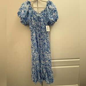 Anthropology Kindred Blue and White Floral Maxi Dress